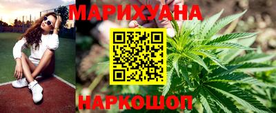 прущие крисы Будённовск