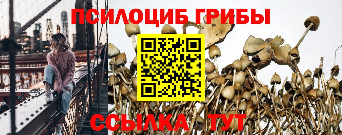 Прокопьевск  Псилоцибиновые грибы GOLDEN TEACHER  Вход с VPN  Псилоцибиновые грибы ЛСД 